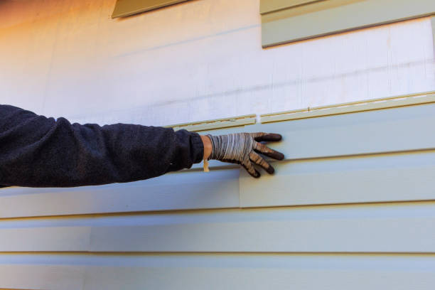 Best Fascia and Soffit Installation  in Leonville, LA